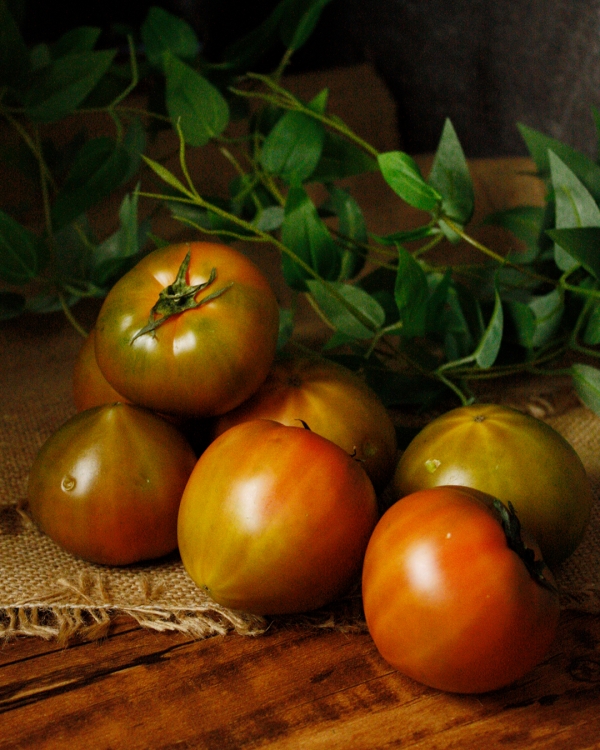 [부산] 못난이 대저 짭짤이 토마토 500g